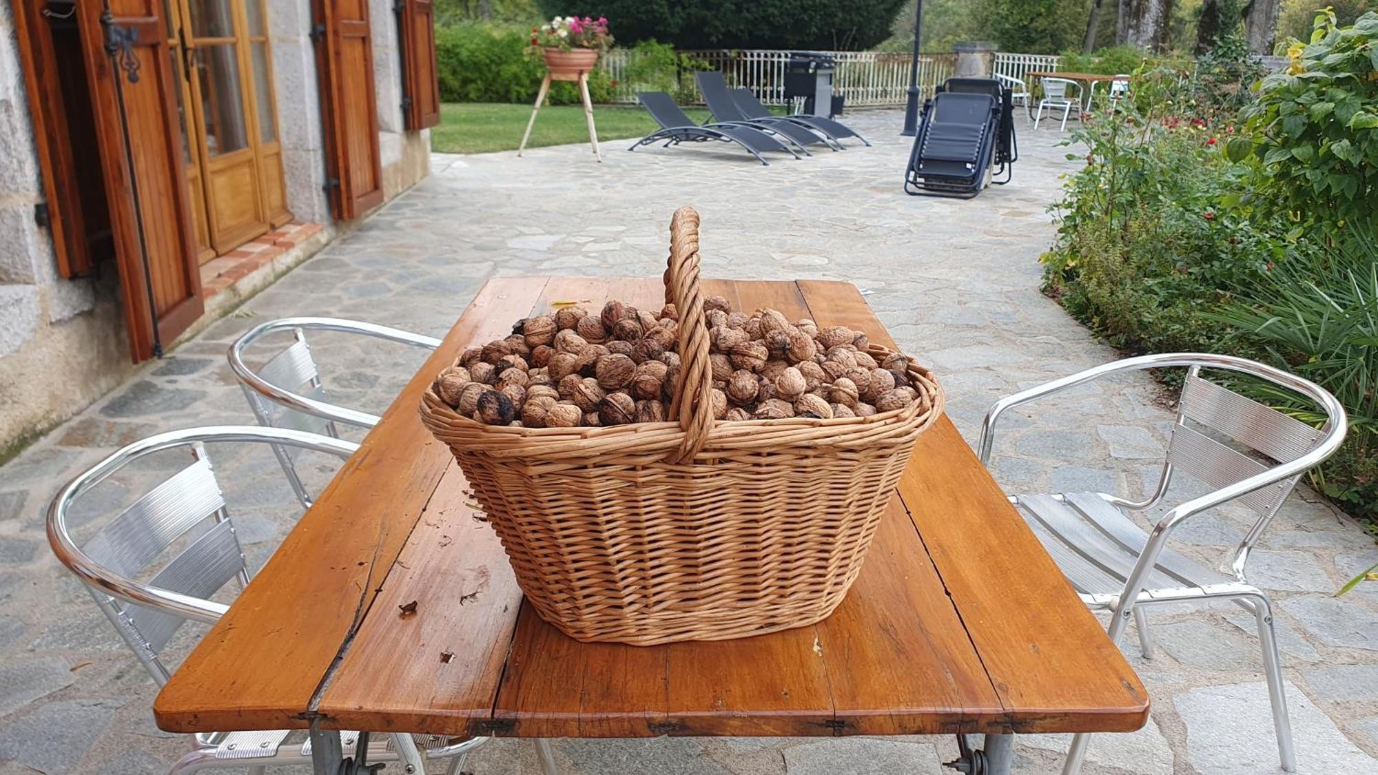 Domaine De Montvianeix Bed & Breakfast Saint-Victor-Montvianeix ภายนอก รูปภาพ