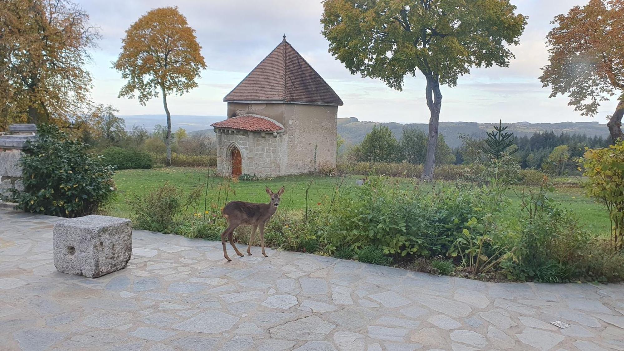 Domaine De Montvianeix Bed & Breakfast Saint-Victor-Montvianeix ภายนอก รูปภาพ